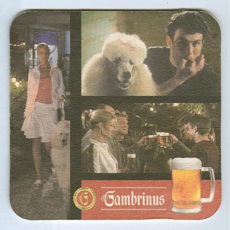 Gambrinus podstawka Rewers